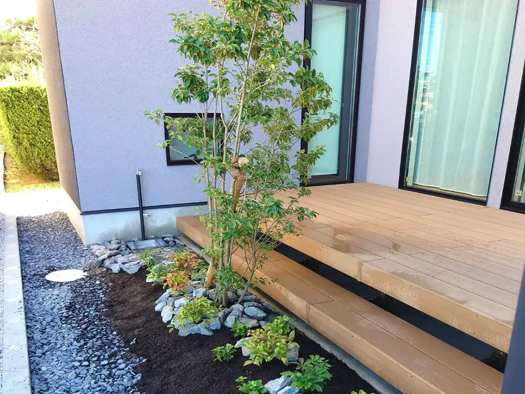 ソヨゴと割栗石