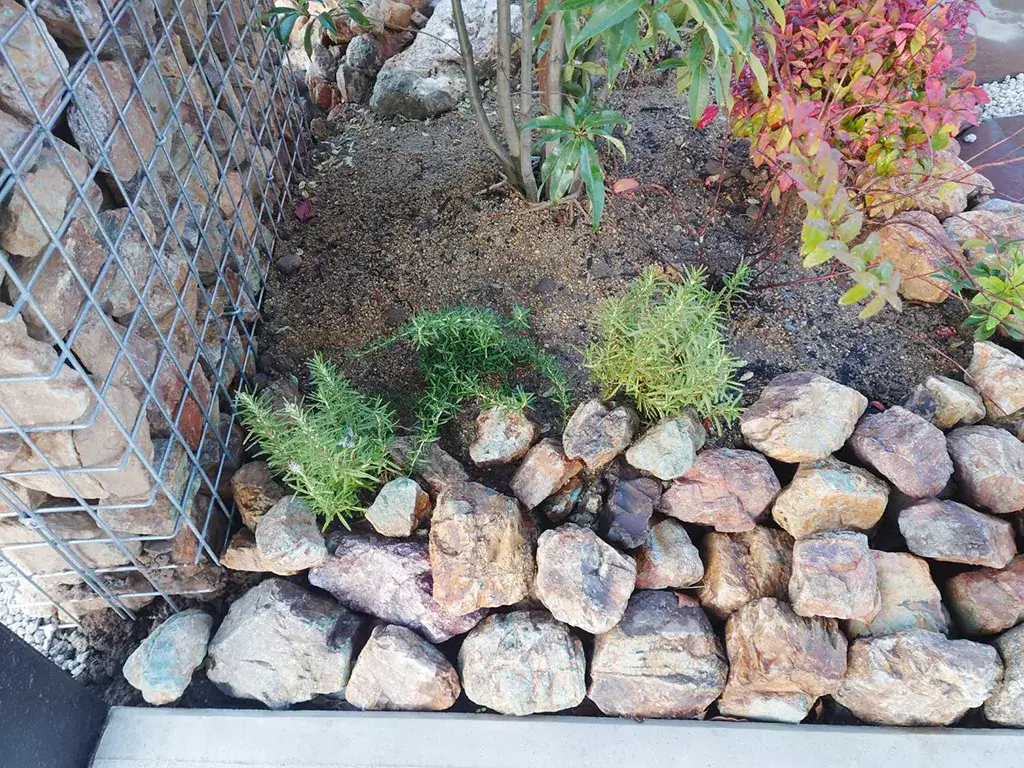 低木植栽と割栗石