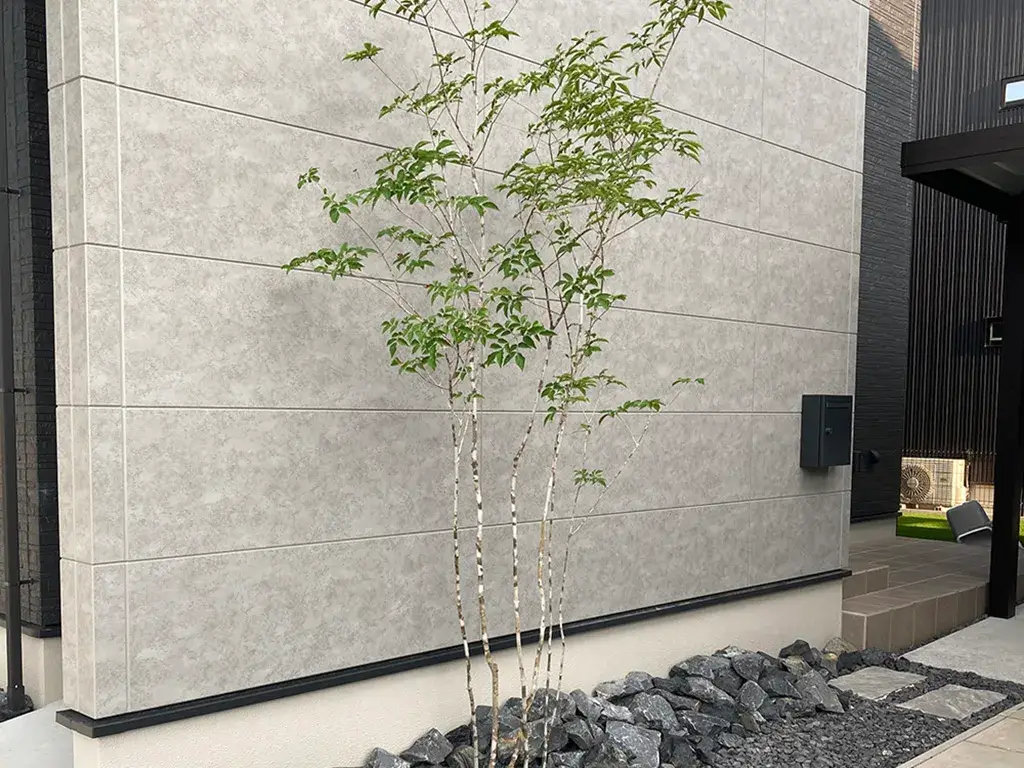 虫が付きにくい植物アオダモ