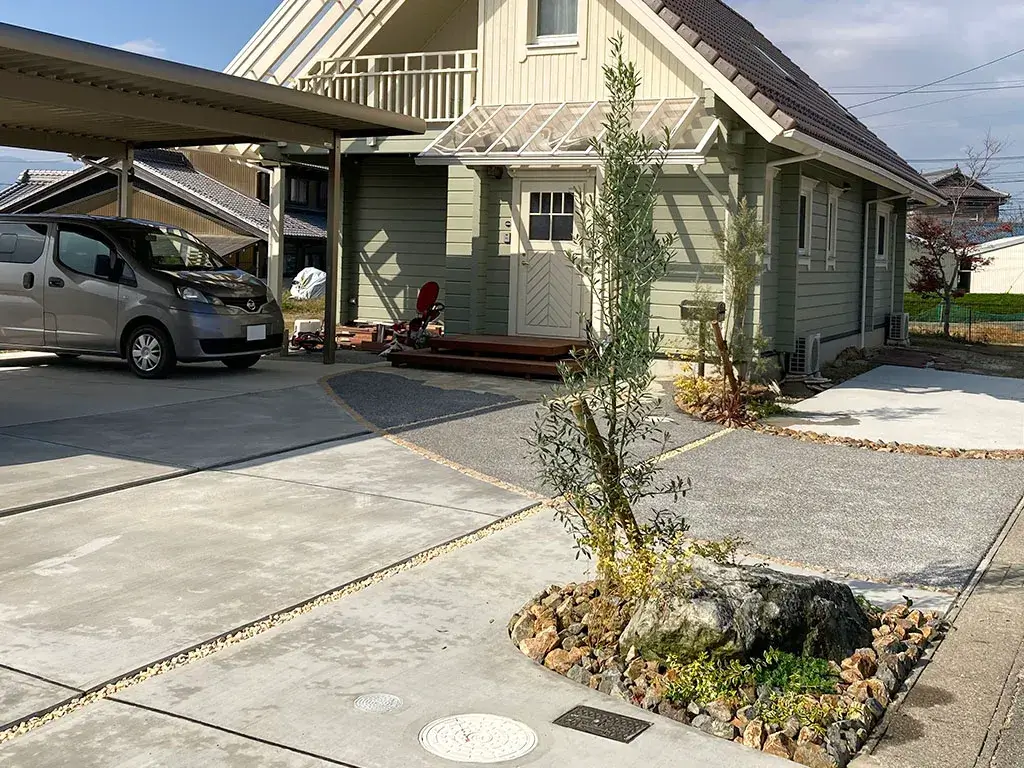 虫が付きにいく植栽オリーブ