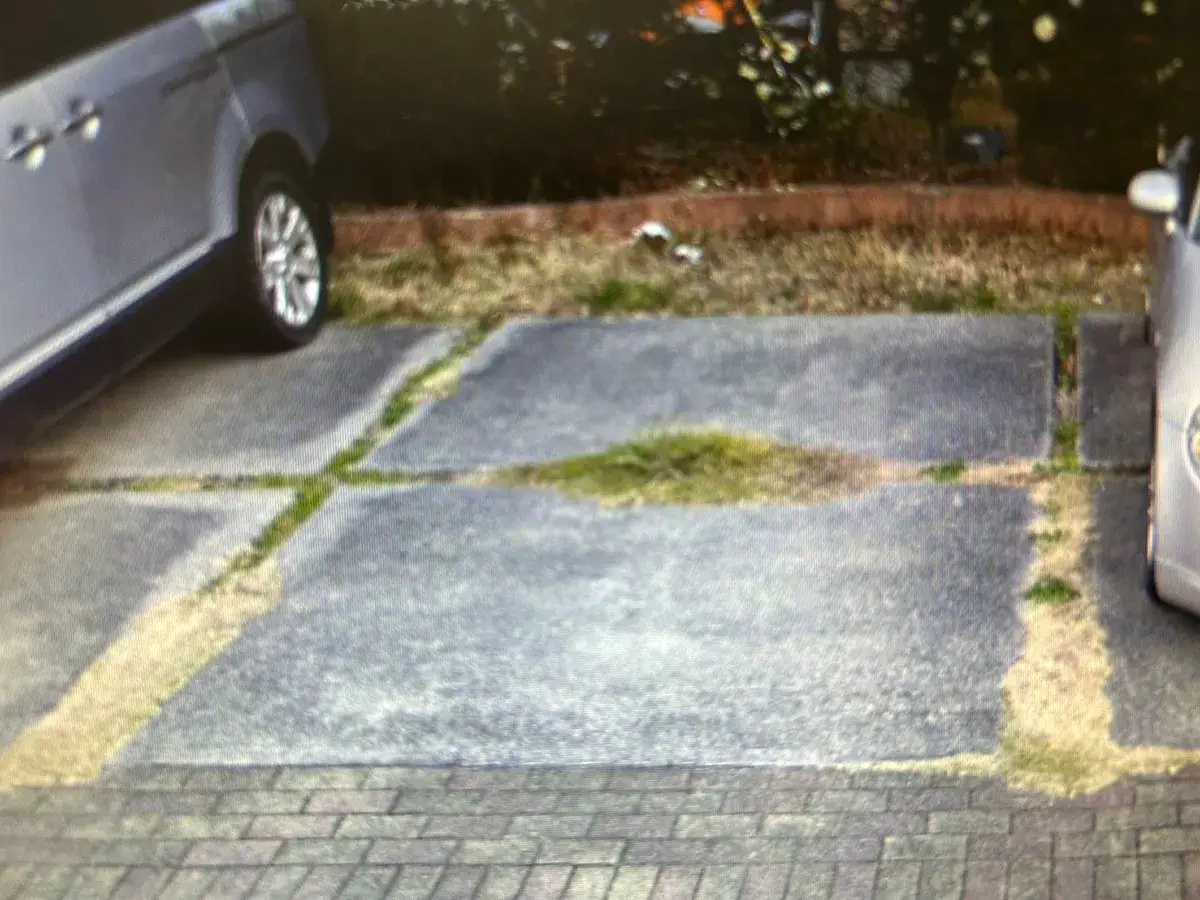 駐車場雑草対策工事施工前