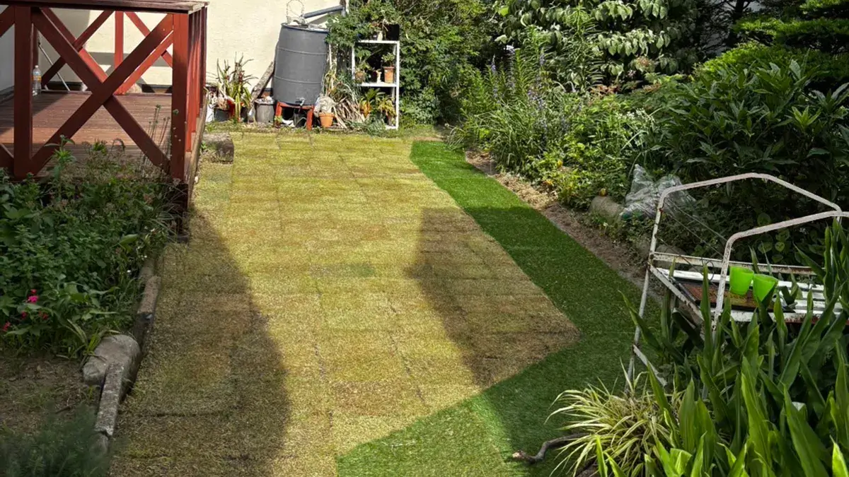 天然芝＆人工芝張り替え工事施工例