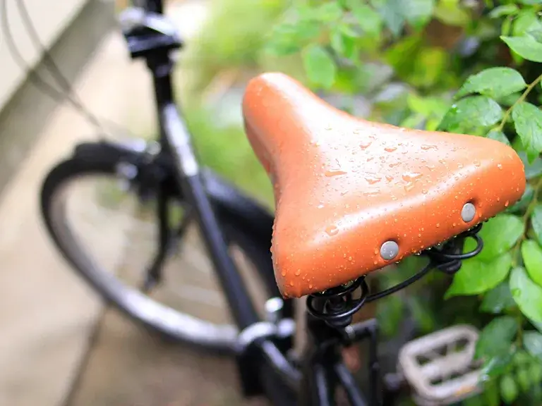雨ざらしの自転車
