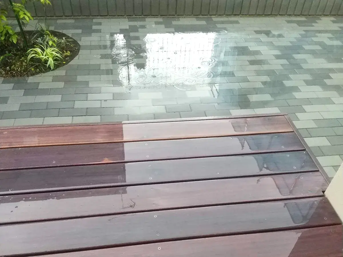 豪雨で浸水被害に合った庭