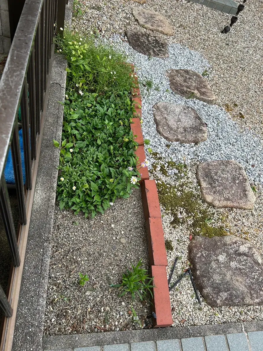 花壇リフォーム前